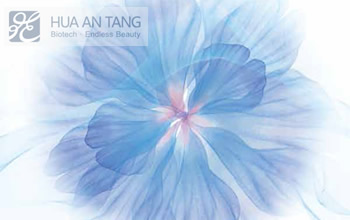 HUA AN TANG þWվO